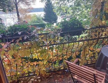 Lake view for two, near Berlin 5