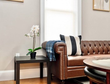 Sunny 3BR Boston 1st-floor Apt Pet-Friendly Franklin Park & Red Line 558-1 2