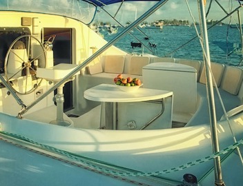 Sleep Under the Stars on a Sailing Catamaran near Amsterdam 2
