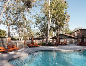 King Bed, Hottub, Pool, Parking, W/D, AC 4