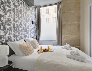 TBS 299 - Pretty suite near Notre-Dame Cathedral 3