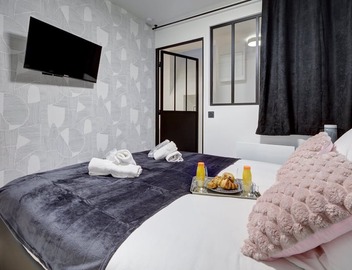 TBS 299 - Pretty suite near Notre-Dame Cathedral 5