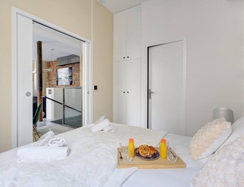 TBS 299 - Pretty suite near Notre-Dame Cathedral 2