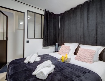 TBS 299 - Pretty suite near Notre-Dame Cathedral 5