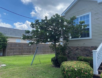 Furnished 2bedroom 1BA house with WiFi and central AC in wonderful New Orleans! 3