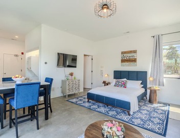 Modern Deluxe Studio Suite in lovely Oak Park! 3
