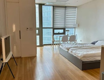 [NEW] MODERN LUXURY Unit in the HEART OF SEOUL 2