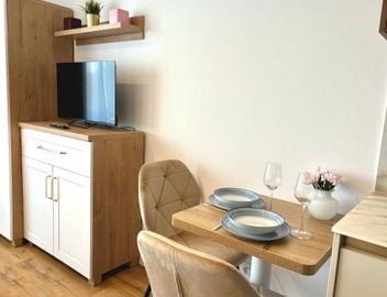 Modern Life Apartment 4