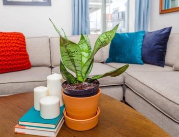 Bright & Spacious Boston Home near T 3