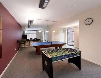 Grant Park 2BR Condo with Balcony Skyline View & Gym in Chicago Downtown 4