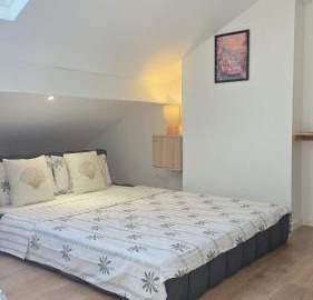 Apartement Duplex proche Paris, Aéroport CDG Stade de France Parc Expo Villepinte 4