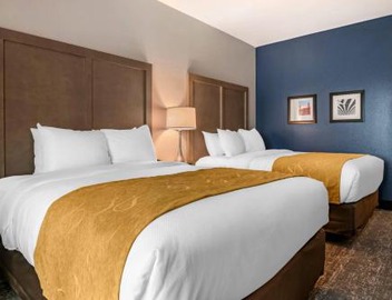 Comfort Inn & Suites Jacksonville - Orange Park Near Naval Air Station 4