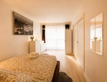 Champs elysees apartment 4 5