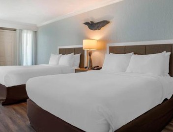 Dolphin Sands Clearwater Beach, an Ascend Collection Hotel 5