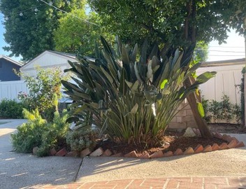 4BR Home near Universal - Private Pool, BBQ, Free Parking 2