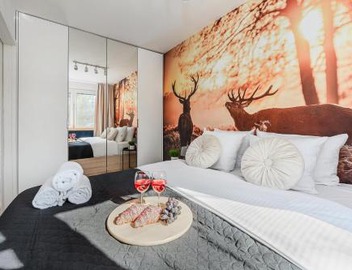 Lumina I 2-rooms Apartment near Museum of Fryderyk Chopin I AC 5