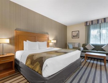 Best Western King George Inn & Suites 3