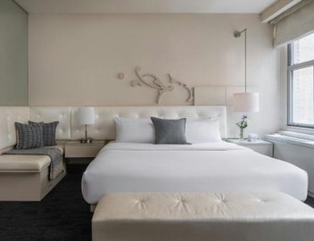 THE MIDLAND HOTEL, Chicago, a Tribute Portfolio Hotel 4