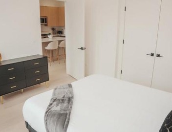 River North Private Balcony With In and Out Parking 3