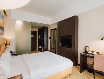 Comfort Hotel Astana 5