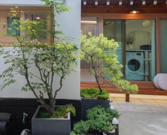 Luxury Traditional Hanok Private Entire Home , Stay Dalmaji 4