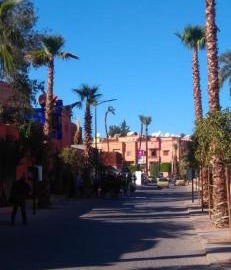 Rouge Mamounia 4