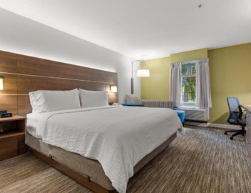 Holiday Inn Express and Suites Surrey by IHG 3