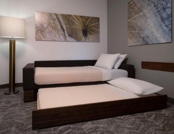 SpringHill Suites by Marriott Orlando at FLAMINGO CROSSINGS Town Center-Western Entrance 2