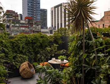Reforma Guest House 3