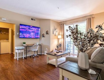Modern King Suite Deluxe Living Cali 3