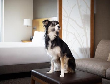 Hyatt Place Denver Downtown 4