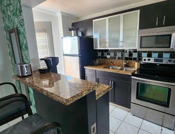 Bayfront Apartment Breathtaking Views- one bedroom w balcony- living room -Free Parking 4
