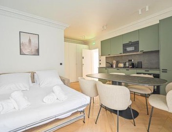 Sumptuous & Serene Parisian Flat 2