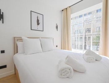 Luxurious & Famous Parisian Flat 2
