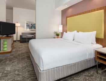 SpringHill Suites by Marriott Lafayette South at River Ranch 2