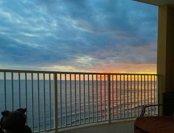 Emerald Isle Panama City Beach #1105 4