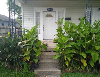 Buttermilk Drop in Gentilly 3