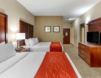 Comfort Inn & Suites Canton Riverstone Area 4