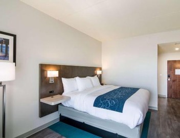 Comfort Inn & Suites Gulf Shores East Beach near Gulf State Park 5