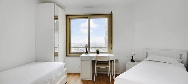 A Beautiful 1/2-BR in Montparnasse with a view