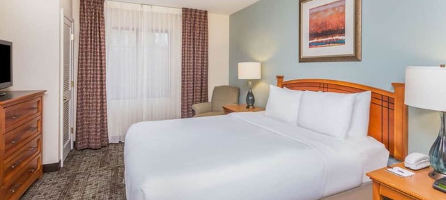 Look No More! Contemporary 1BR Suite with Full Kitchen, Pets are Welcome!