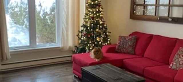 Cute town house in Gatineau