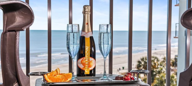 Marvelous Oceanview Suite/Dogs OK!