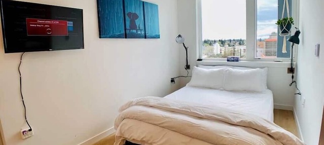 Unique poolside studio - less than a mile to Old Town