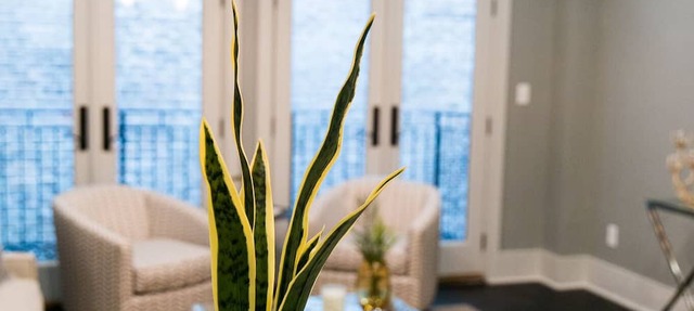 Modern Comfort: Stylish & Cozy Retreat in New Orleans' CBD