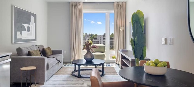 Designer 1BR | Gym, Parking