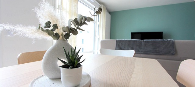 Falcon1-New apartment Chessy Disneyland Paris