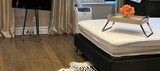 1 Large studio APARTMENT NEWLY RENOVATED with backyard