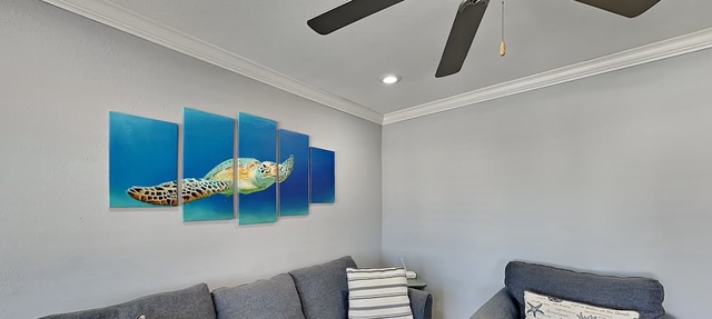 Paradise Isle #15A | Across from the Beach + Pool Access!