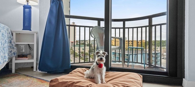 Oceanfront balcony. Dog-devoted stay. King bed + fireplace. Indoor pool, hot tubs & lazy river. Walkable to dining. VIP pup kit included. Sleeps 2–4. Ideal for couples or small families. Washer/Dryer in building. A Salty Paw Rentals Property